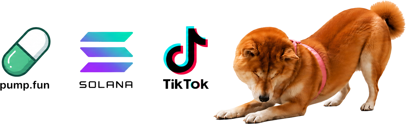Halo the blind doge next to pump.fun, Solana and TikTok logos
